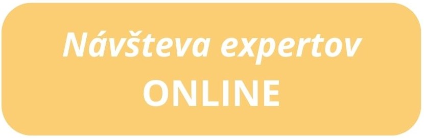 Záznam predstavenia Návšteva expertov