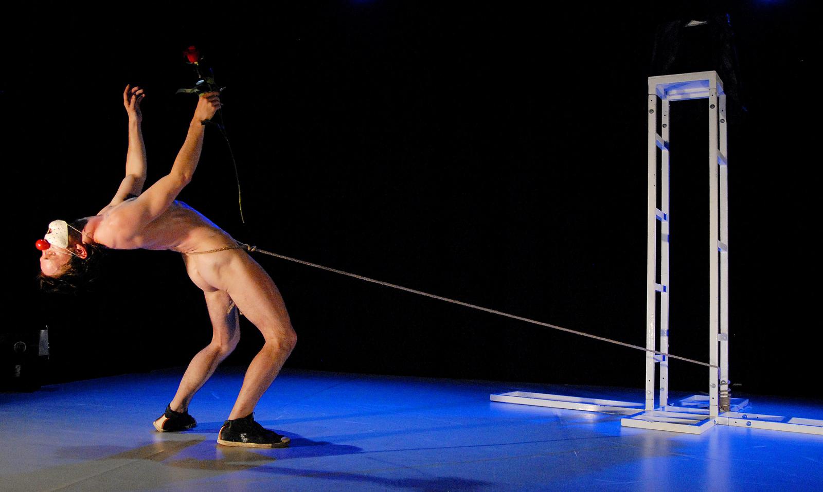 Butticula: Figúry blázna / Butticula: Fool’s figures, 2008