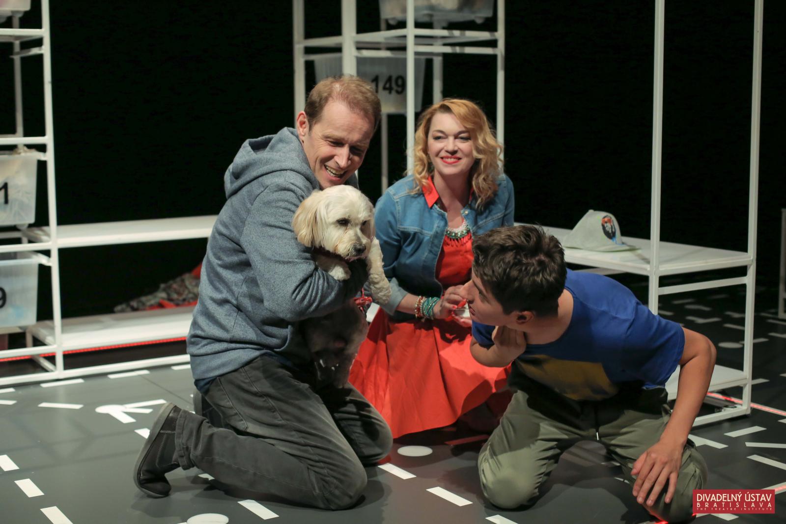 Podivný prípad so psom / The Curious Incident with the Dog in the Night-Time, 2016